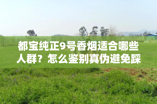 都宝纯正9号香烟适合哪些人群？怎么鉴别真伪避免踩坑？